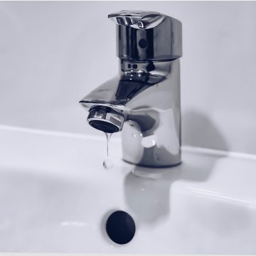 Sink & Toilet